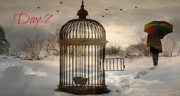 COG, Devotion #7, Cage
